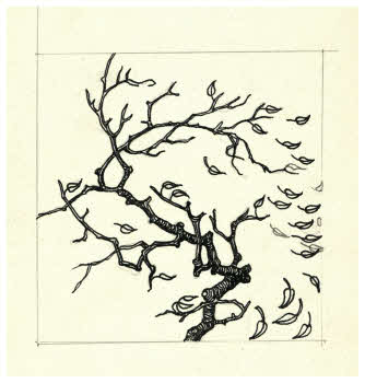 Visualizza l'immagine "FD D 1868"